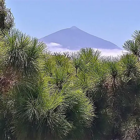 Zenrepublic, Your Private With Outdoor Jacuzzi & Pool With Stunning Ocean Views Puntillo Del Sol