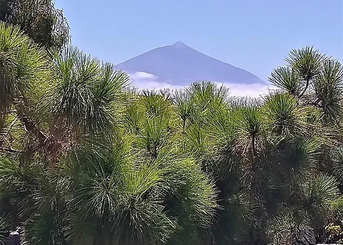 Zenrepublic, Your Private With Outdoor Jacuzzi & Pool With Stunning Ocean Views Puntillo Del Sol